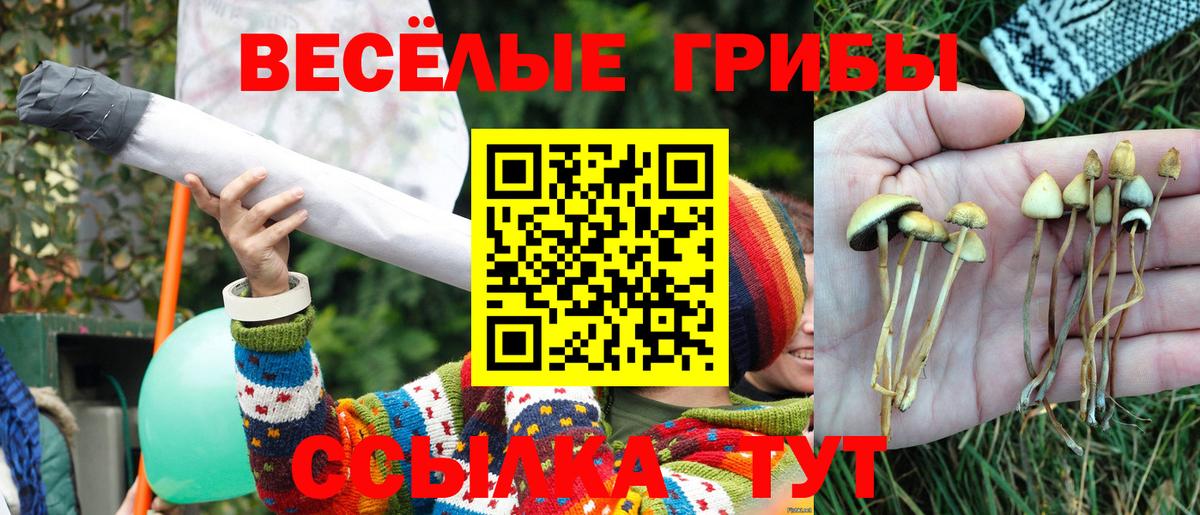 Псилоцибиновые грибы Magic Shrooms Электрогорск
