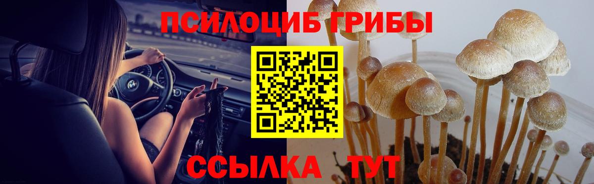 что такое   Псилоцибиновые грибы мицелий  Вход с VPN  Электрогорск 